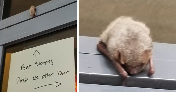 50 Funny Animal Snapchats That Will Leave You With The Biggest Smile