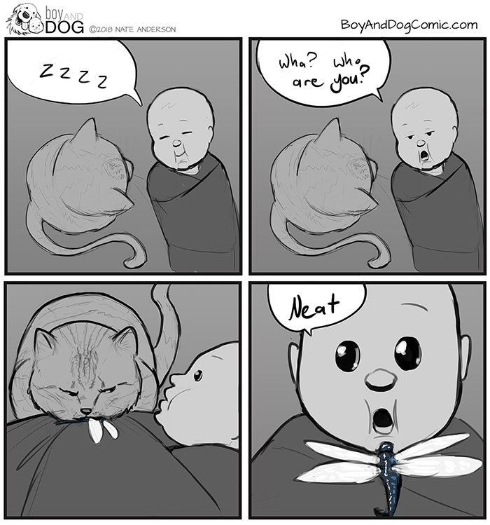 The Cat Has Been Bringing All The Bugs (Still Alive) Into The House. He’s Quite Proud