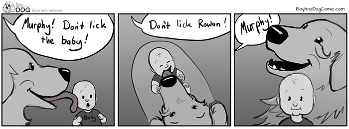 Always With The Licking. Every Surface Of My Home Have Been Touched By This Dogs Slobber Dispenser