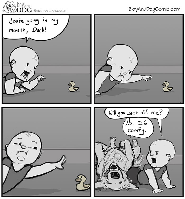 Murphy Is A 90 Pound Lap Dog. At Least He Thinks He Is