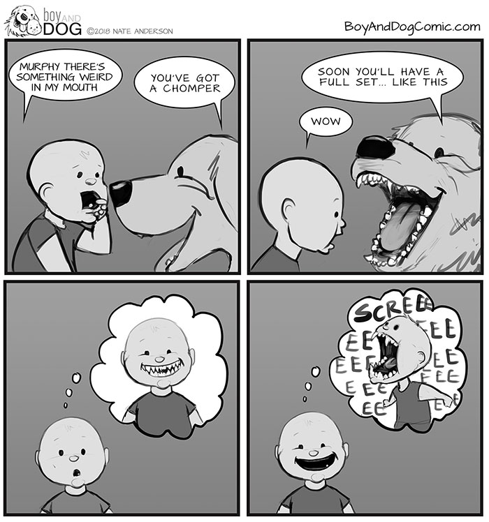 A Good Set Of Chompers Make Chomping Things Much More Fun