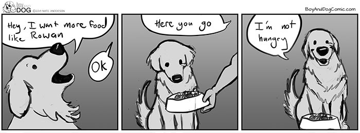 Murphy Doesn’t Care About His Food. I Don’t Understand How He Is A Dog. He Eventually Eats His Food… When He Gets Around To It