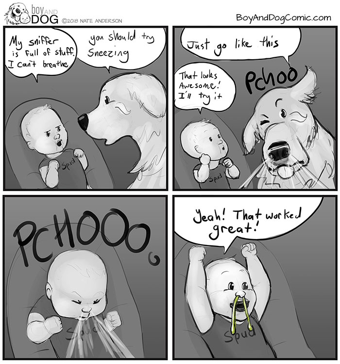 Snot. Snot Everywhere. Where Does It All Come From?