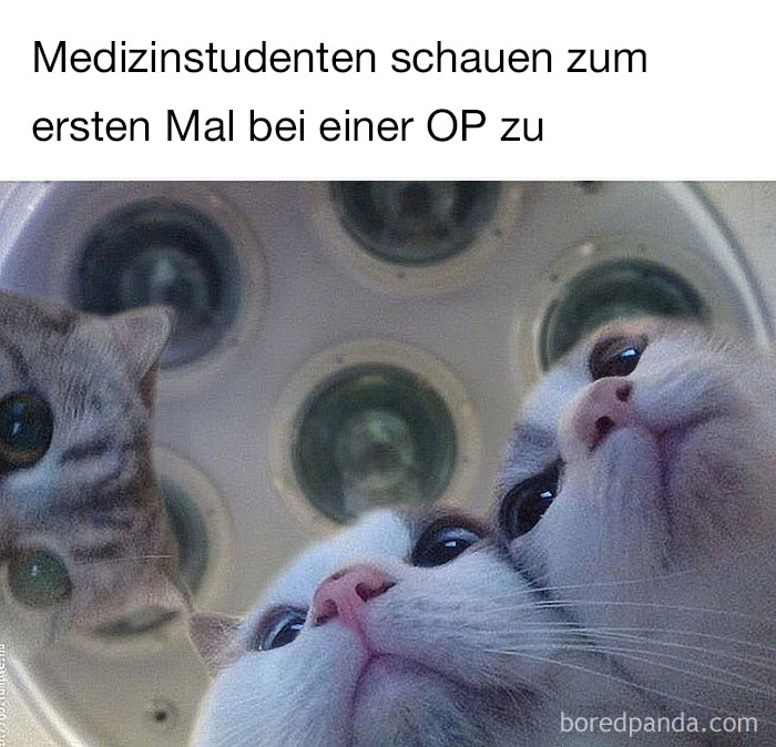 Funny-Doctors-Medical-Memes