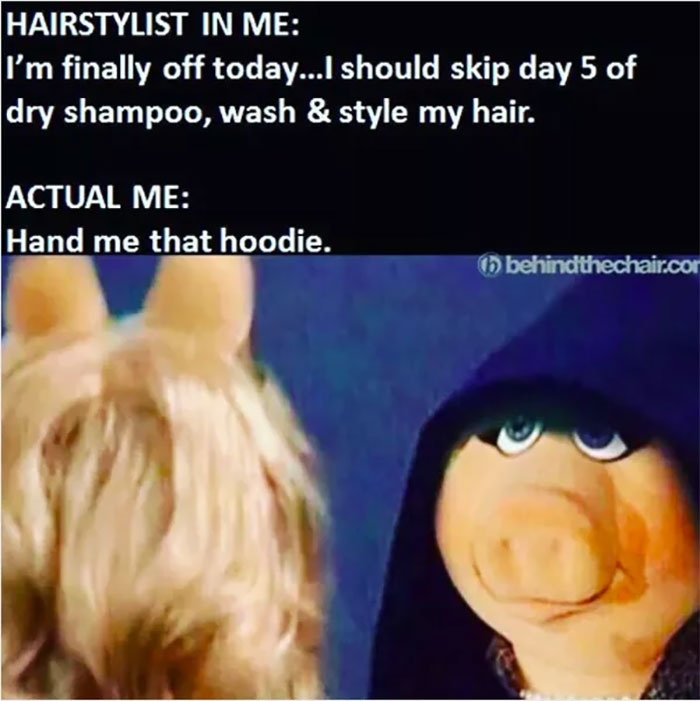 Meme showing a contrast between hairstylist aspirations and reality, featuring a hooded pig character.