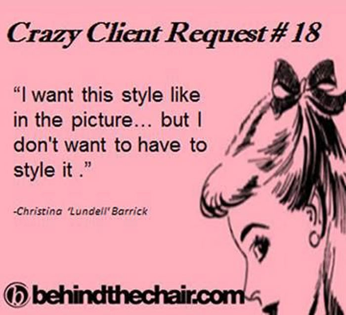 A funny meme about a hairstylist with text: "I want this style like in the picture... but I don't want to have to style it."