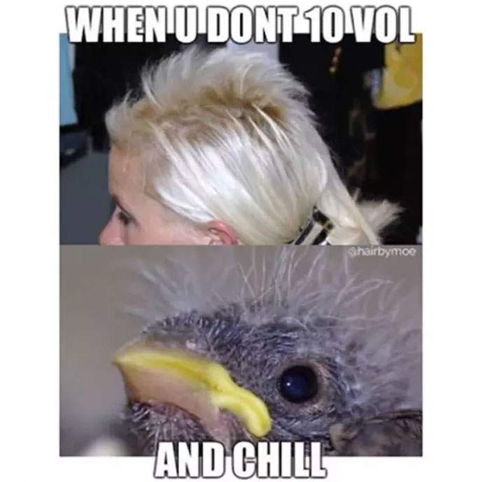 Funny meme comparing bad hairstyle to a bird's messy feathers, highlighting hairstylist struggles.