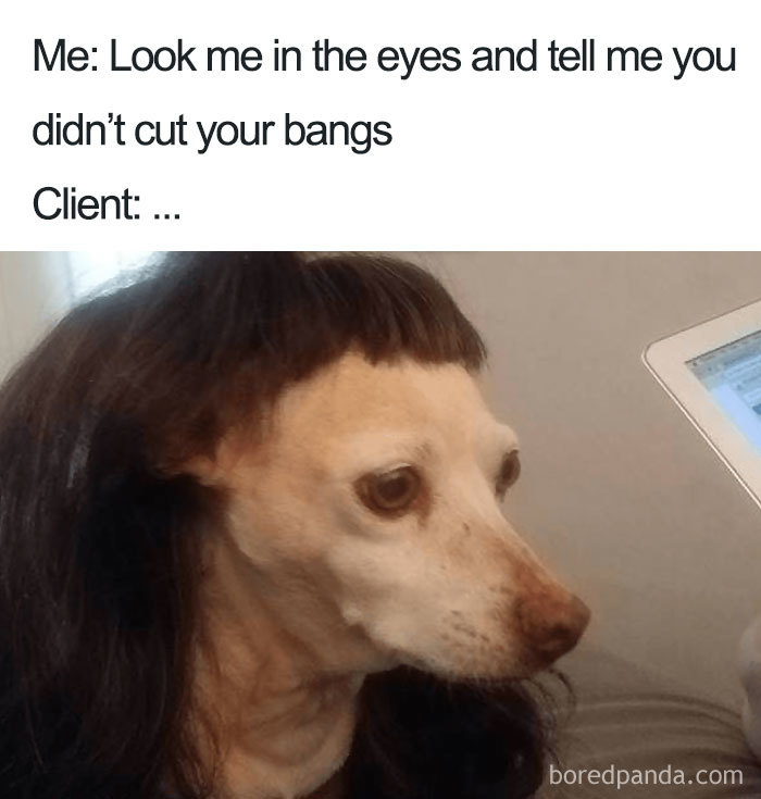 Dog with a wig, humorous meme highlighting hairstylist struggles.