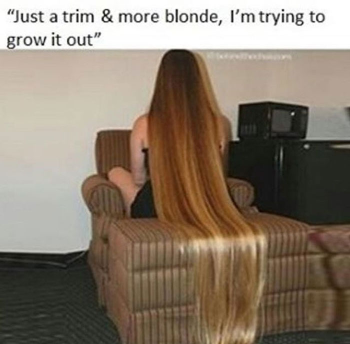 Hairstylist meme showing a person with extremely long hair sitting on a chair.