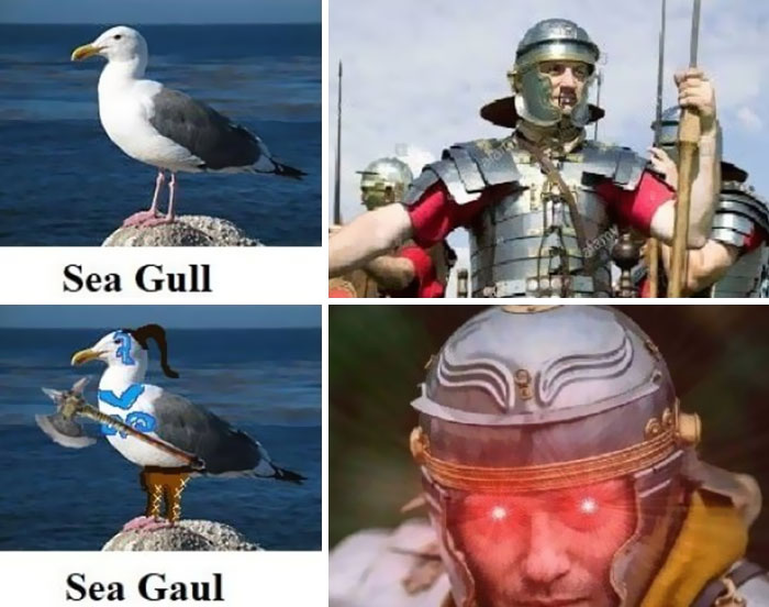 Ancient Roman memes featuring a sea gull and soldiers in armor, blending humor with historical themes.