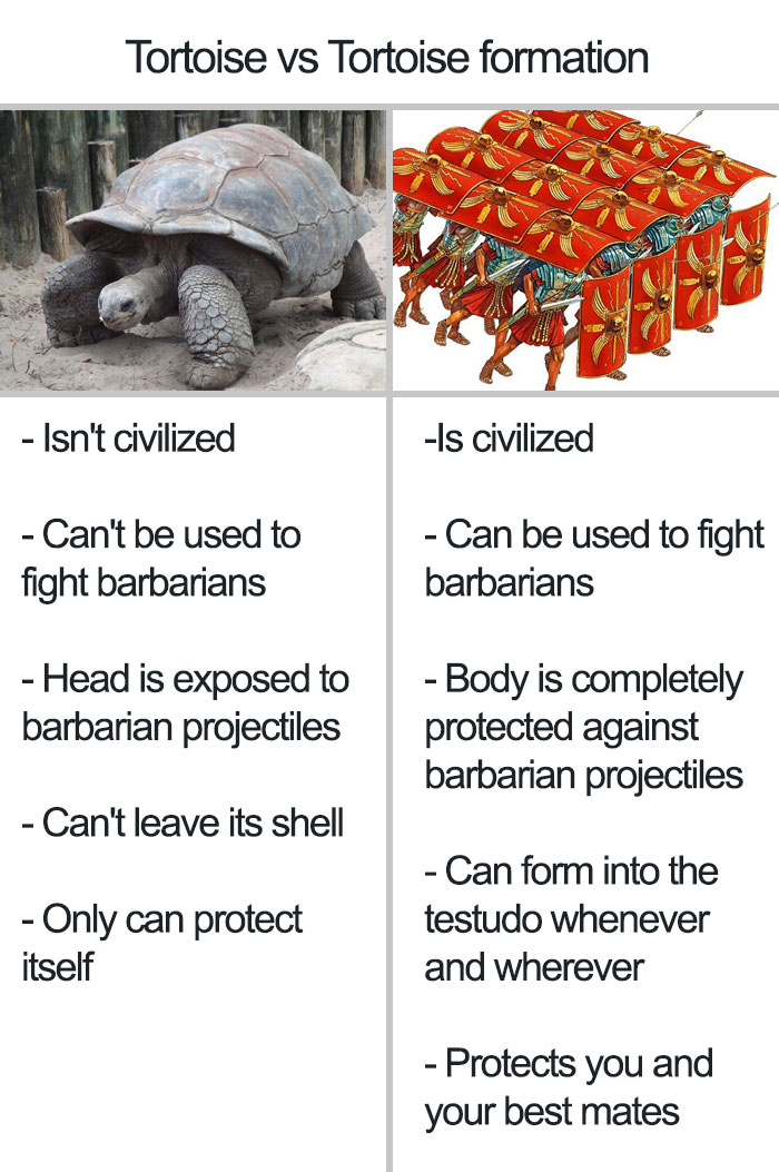 Comparison of tortoise and Roman testudo formation explaining ancient Roman military defense tactics and protection.