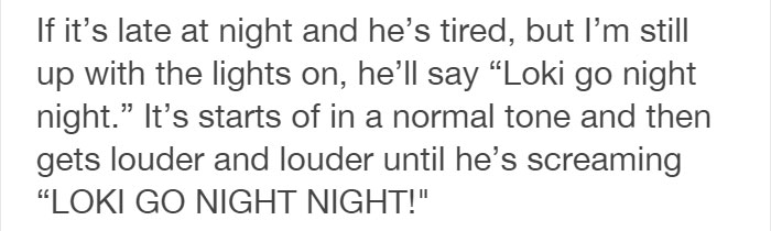 Tumblr Users Share Hilariously Unbelievable Encounters That Prove Parrots Have Sense Of Humor Tumblr Users Share Hilariously Unbelievable Encounters That Prove Parrots Have Sense Of Humor