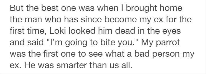 Tumblr Users Share Hilariously Unbelievable Encounters That Prove Parrots Have Sense Of Humor Tumblr Users Share Hilariously Unbelievable Encounters That Prove Parrots Have Sense Of Humor