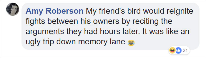 Tumblr Users Share Hilariously Unbelievable Encounters That Prove Parrots Have Sense Of Humor Tumblr Users Share Hilariously Unbelievable Encounters That Prove Parrots Have Sense Of Humor