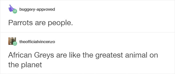 Tumblr Users Share Hilariously Unbelievable Encounters That Prove Parrots Have Sense Of Humor Tumblr Users Share Hilariously Unbelievable Encounters That Prove Parrots Have Sense Of Humor