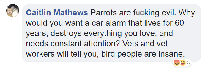 Tumblr Users Share Hilariously Unbelievable Encounters That Prove Parrots Have Sense Of Humor Tumblr Users Share Hilariously Unbelievable Encounters That Prove Parrots Have Sense Of Humor