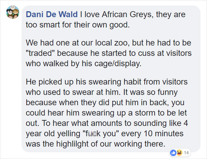 Tumblr Users Share Hilariously Unbelievable Encounters That Prove Parrots Have Sense Of Humor Tumblr Users Share Hilariously Unbelievable Encounters That Prove Parrots Have Sense Of Humor