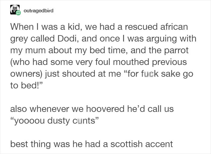 Tumblr Users Share Hilariously Unbelievable Encounters That Prove Parrots Have Sense Of Humor Tumblr Users Share Hilariously Unbelievable Encounters That Prove Parrots Have Sense Of Humor