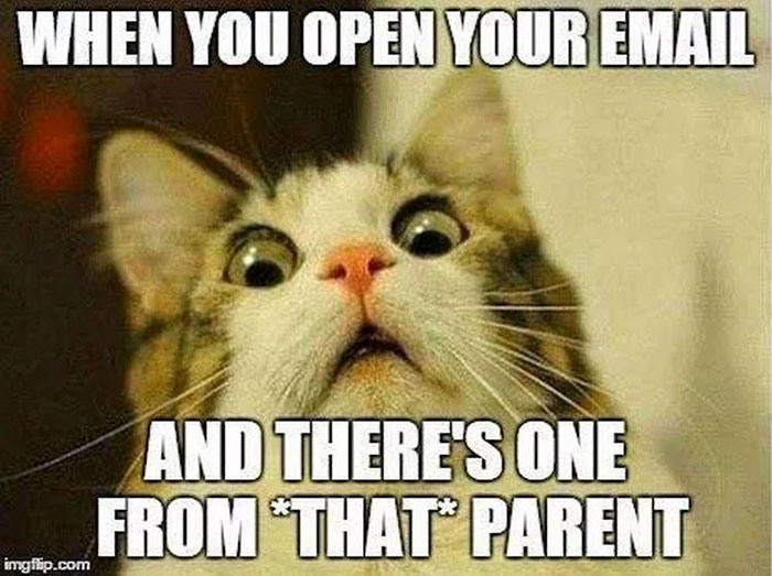 Surprised cat reacting to an unexpected email, humorously capturing educator hardship with a parent communication meme.