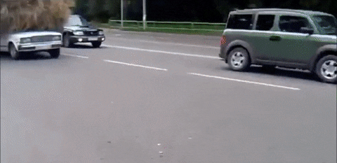 Hay, Watch Where You're Going!