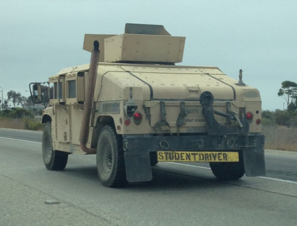 Found This Guy On The Freeway