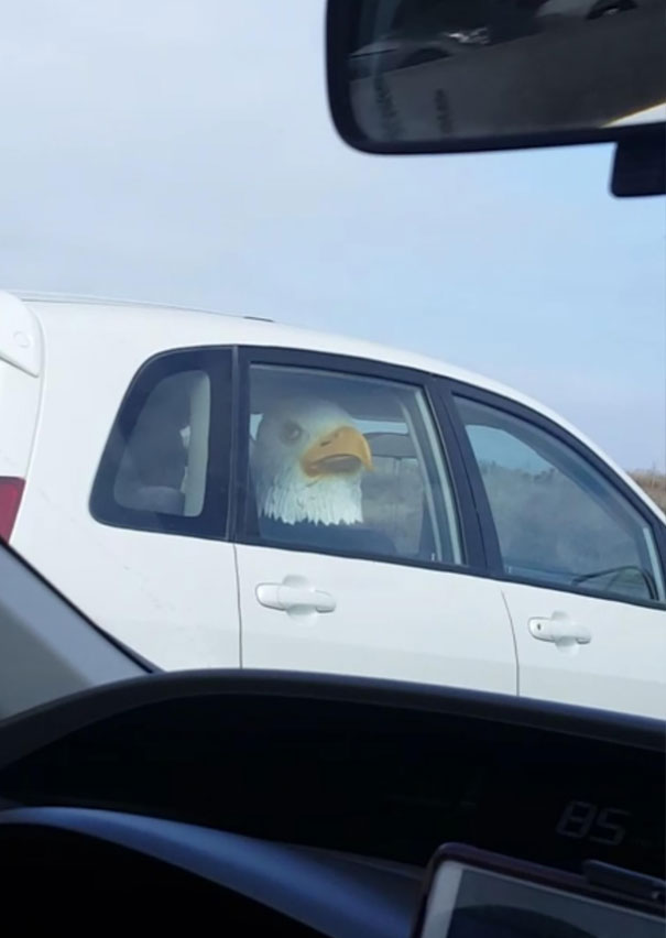 On The Freeway When Suddenly. 'Merica