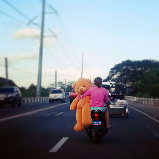 The Poor Bear Of Lubao