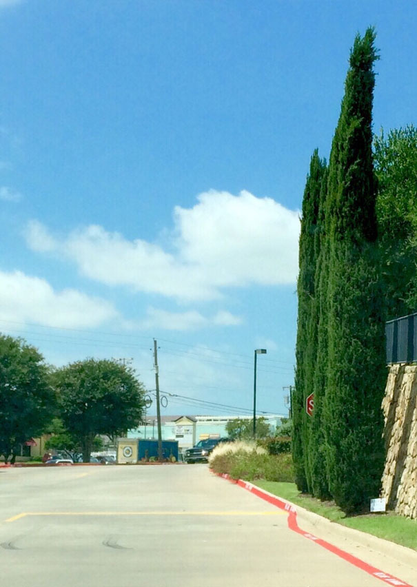 "Psst... Hey Kid... Wanna Stop?"