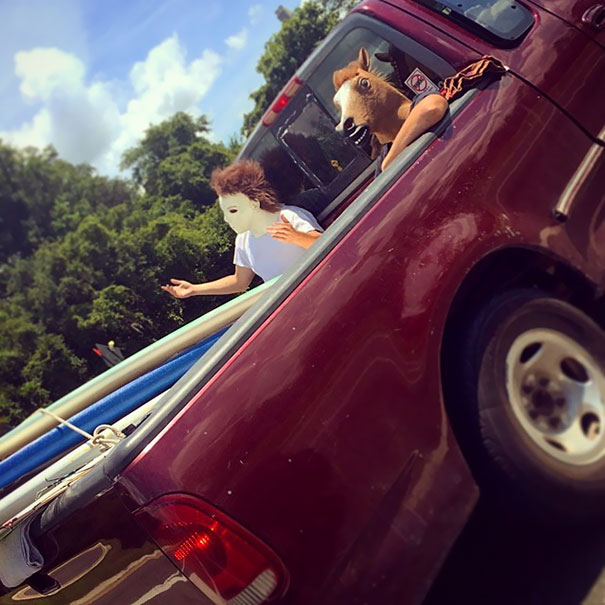 Yeah. This Totally Just Happened. Who Knew Horses And Michael Myers Liked To Surf?