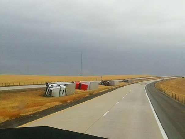 Poor Little Guys Are All Tuckered Out