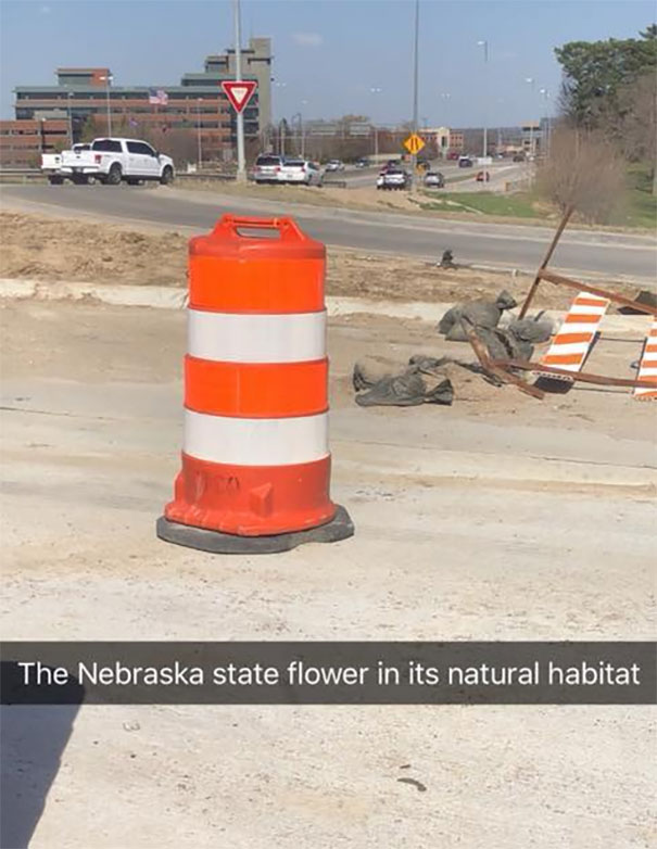 Isn't Nature Beautiful?