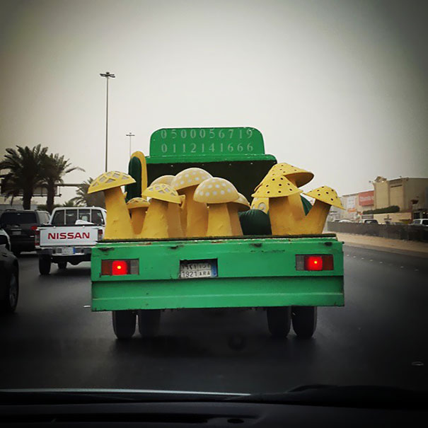 Mushrooms On A Highway