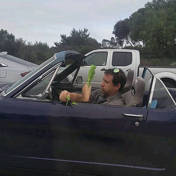 When Not Even Traffic Can Get In The Way Of You Eating Healthy. We Are On Our Way To A Show And Saw This Guy Enjoying His Snack