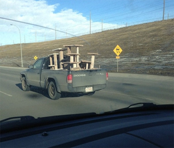 I Saw This On My Way To Work Today