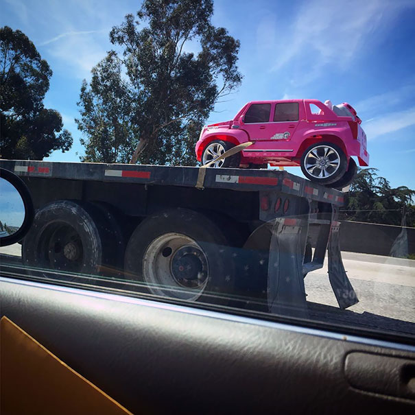 The Only Cargo On The Trailer Of This Truck, And Precious Cargo It Was! I Think There Is Going To Be A Very Happy Little Girl When This Trucker Gets Home