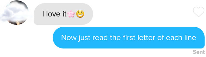 funny-tinder-chat-sonnet-13