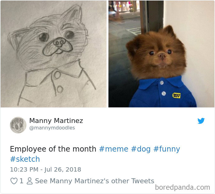 Hilarious-Dog-Tweets