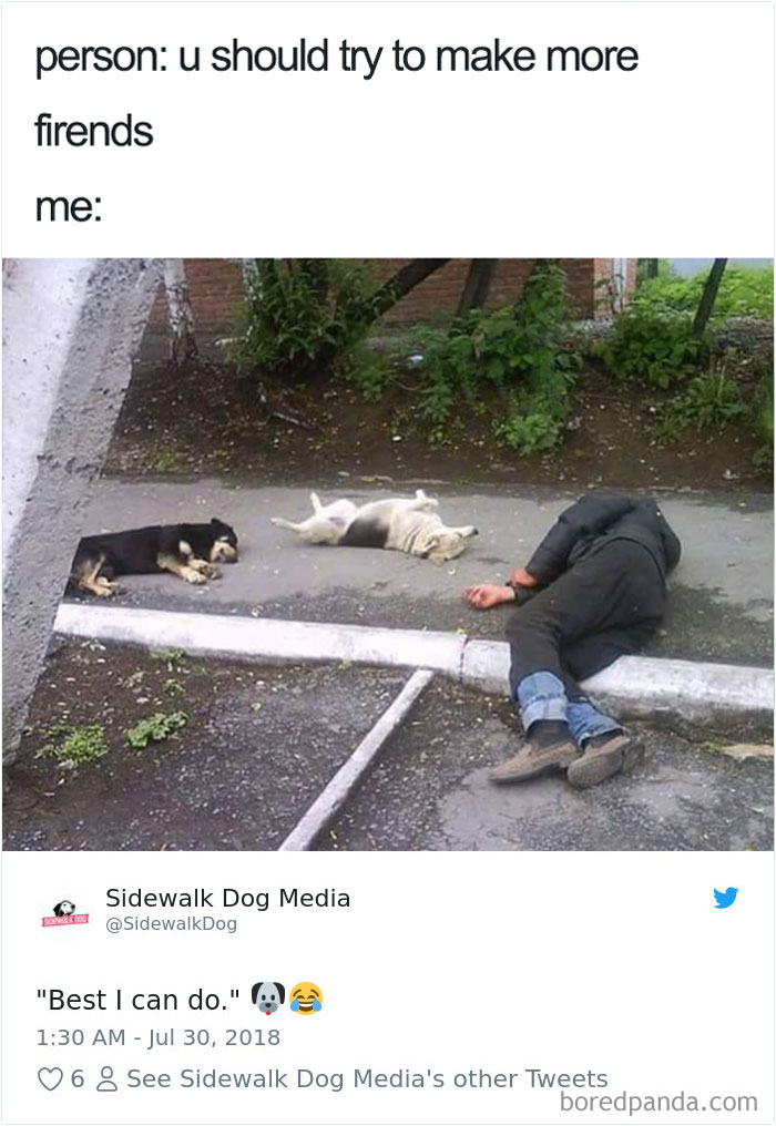 Hilarious-Dog-Tweets