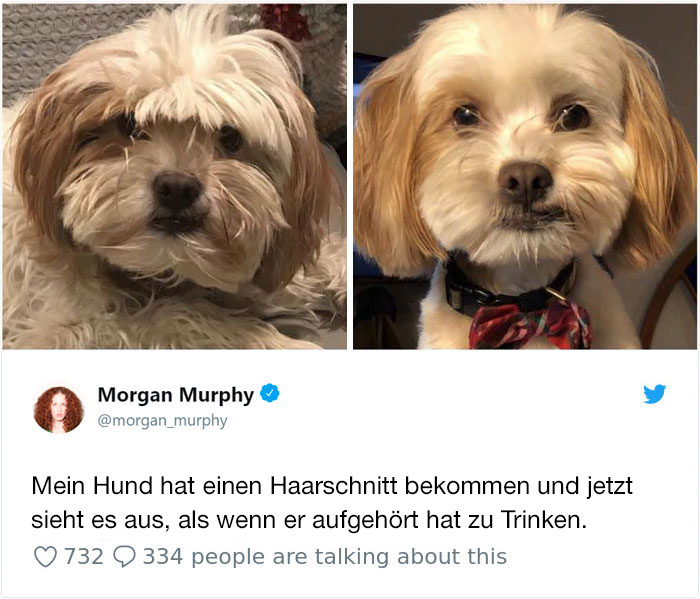 Hilarious-Dog-Tweets