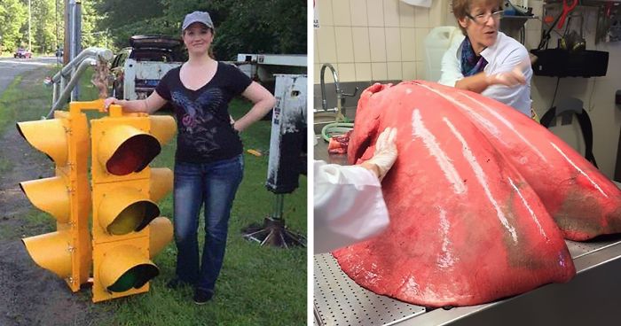 32 Things That Are Surprisingly Bigger Than You Probably Thought