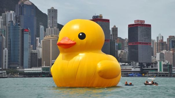http_2F2Fcdncnncom2Fcnnnext2Fdam2Fassets2F130502152627-rubber-duck-in-hong-kong-1-5b71934637d54.jpg