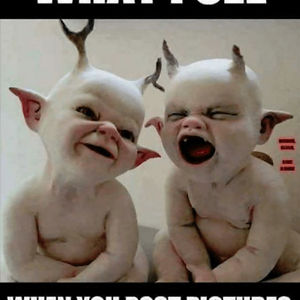 colleendnewman avatar