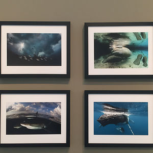 nichapornjirapongsananuruk avatar