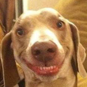 paoz-dezosa012601 avatar