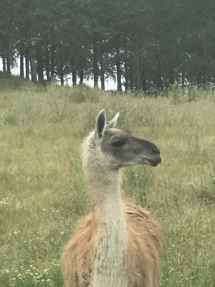 When Someone Says Lgbt Is Bad