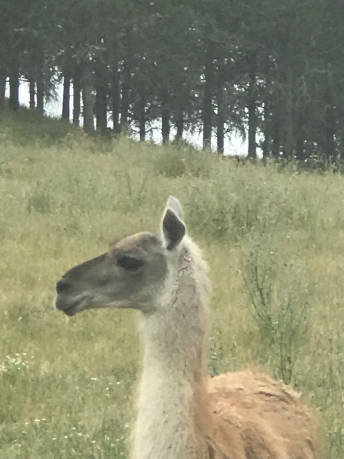 When Someone Says Lgbt Is Bad