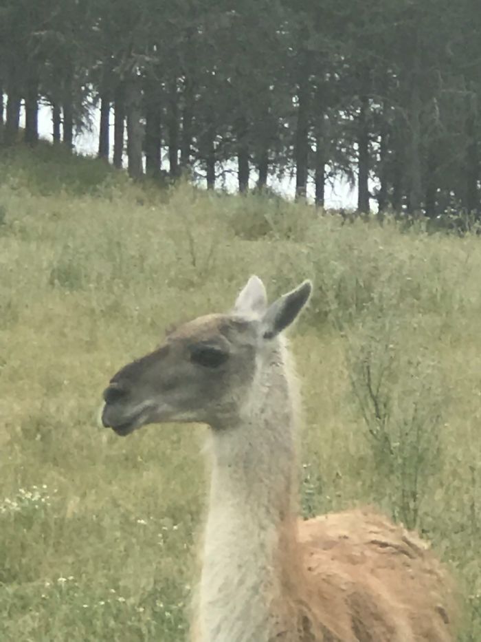 When Someone Says Lgbt Is Bad