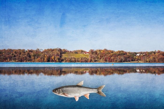 Photo Manipulation For Anxiety Photo Manipulation For Anxiety