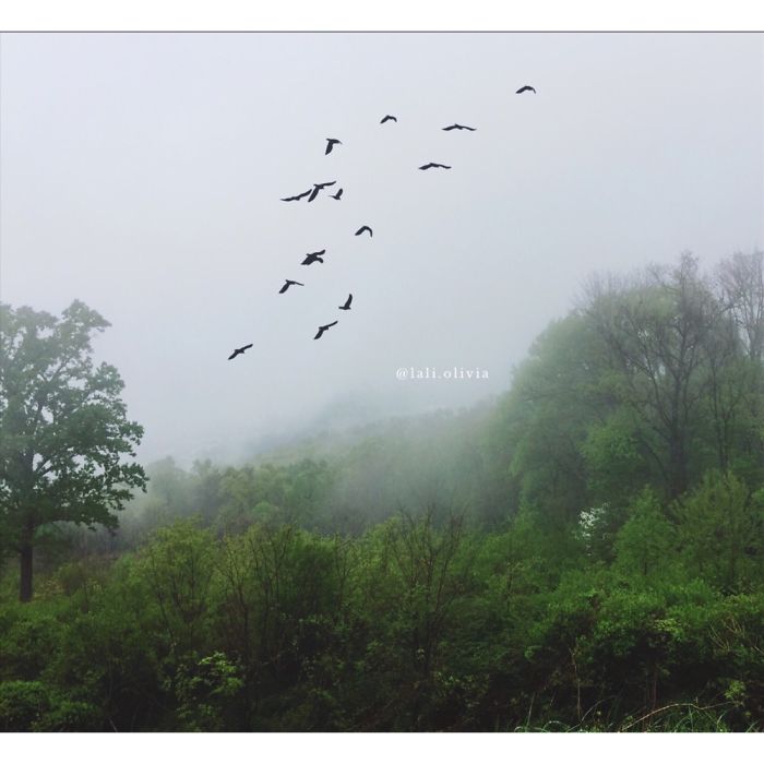 Photo Manipulation For Anxiety