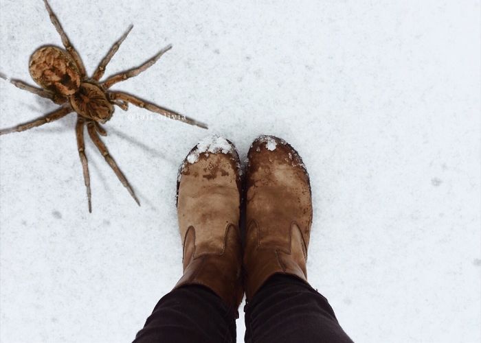 Photo Manipulation For Anxiety Photo Manipulation For Anxiety